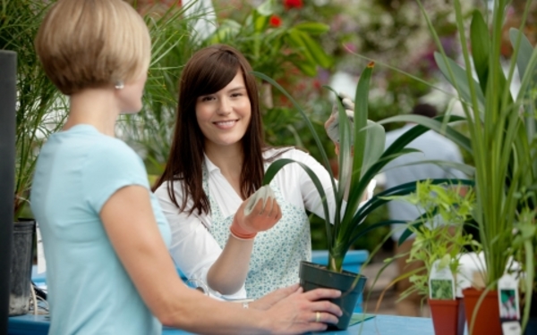 Как распознать больное растение при покупке