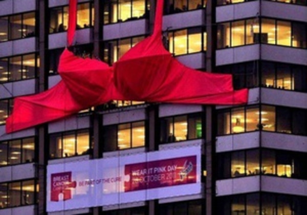 Самый большой в мире лифчик продали на аукционе