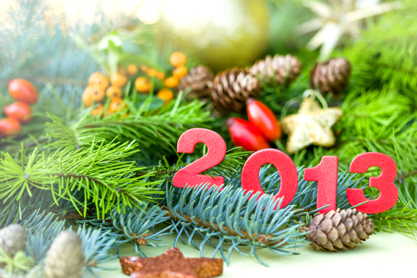 Что приготовить на Новый год 2013
