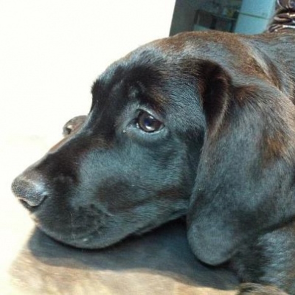 Наталья Могилевская представила поклонникам свою новую любовь