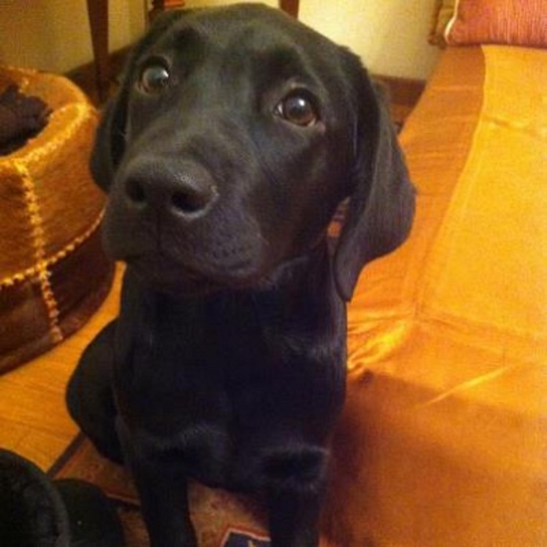 Наталья Могилевская представила поклонникам свою новую любовь