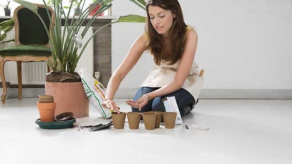 Определяем, нуждается ли твое растение в удобрении