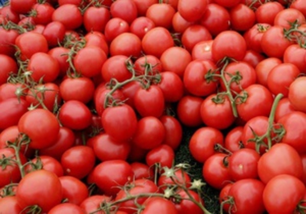 Ученые: Помидоры помогают бороться с депрессией