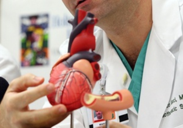 Ученые нашли способ заставить ткани миокарда самовосстанавливаться после инфаркта