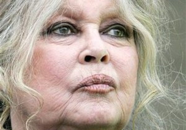 Французские политики высмеяли планы Брижит Бардо получить российское гражданство