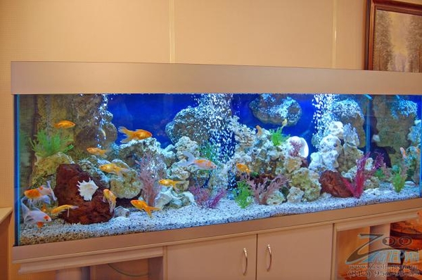 Законы фен-шуй: как привлечь деньги