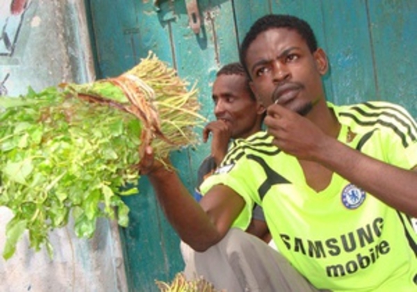 Жвачку из Сомали не сочли наркотиком в Британии