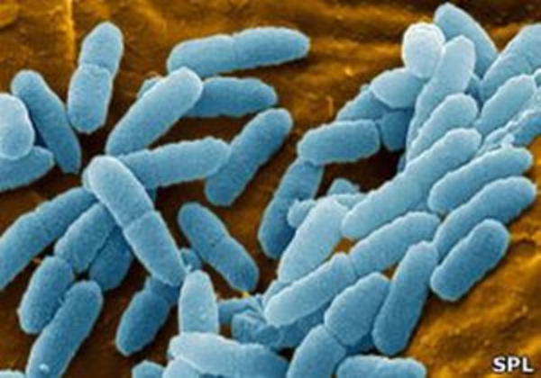 Новый метод оценки веса, конец эпохи антибиотиков и чудо-восстановление после ужасных ожогов – итоги недели