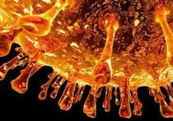 Свиным гриппом был инфицирован ''каждый пятый''