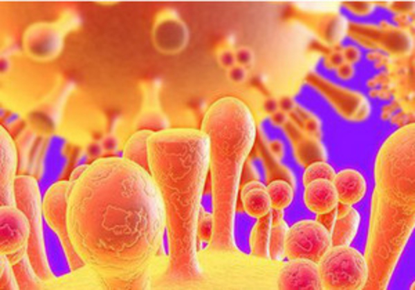 Ученые: Мир должен готовиться к пандемии неизлечимого гриппа