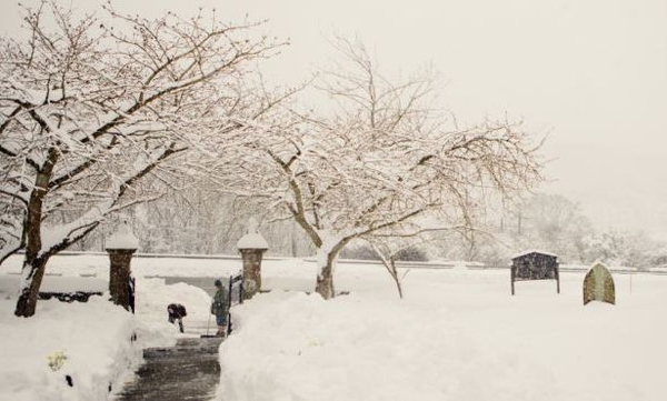 Романтика снежной свадьбы (ФОТО)