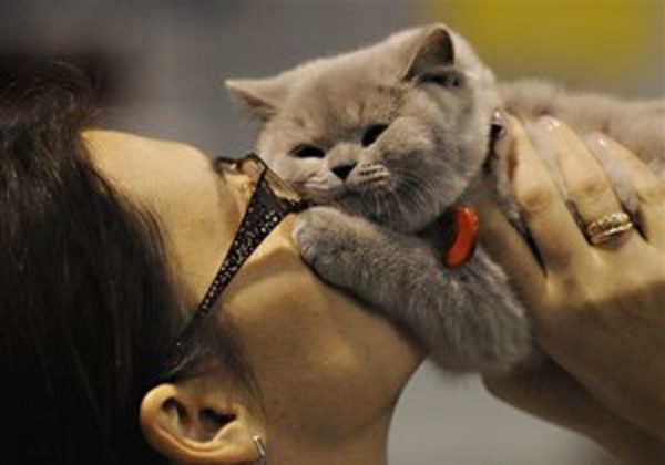 Домашним животным разрешили навещать хозяев в больнице