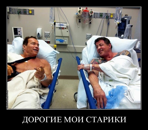 1 апреля: Смешные демотиваторы со звездами