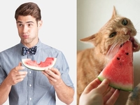 Мужчины – они такие котики: Самые добрые и красивые фото