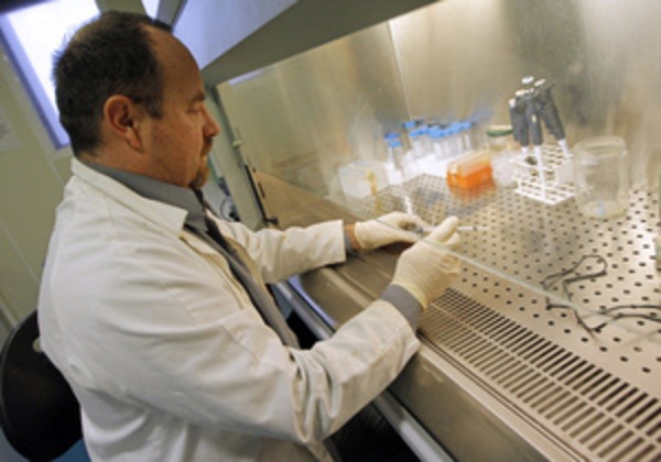 Медики нашли новый способ борьбы с раком