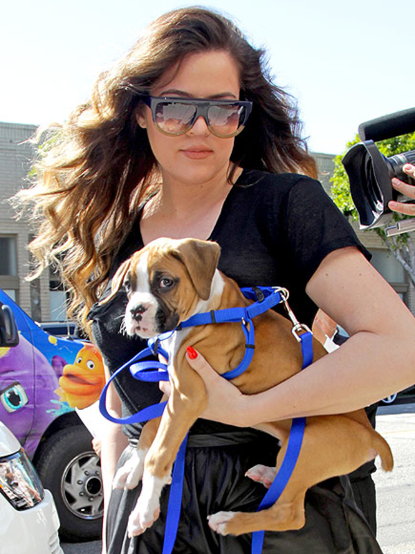 Солнцезащитные очки 2013: Выбор звезд