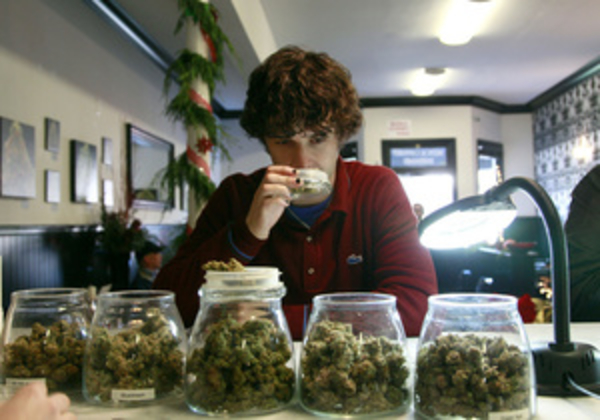 Марихуана в таблетках эффективнее обезболивает – ученые