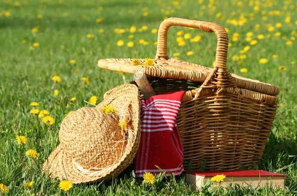 Что взять с собой на пикник?