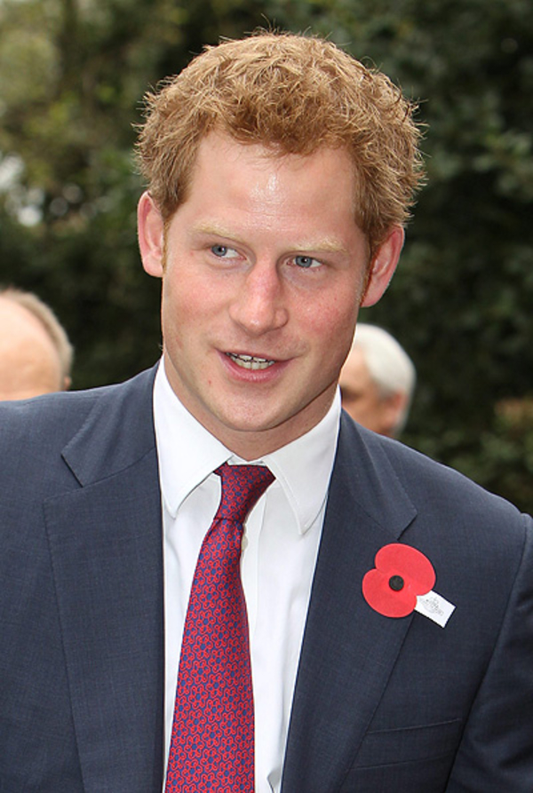 Принц Гарри боится маленьких детей