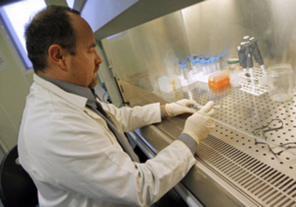 Обнаружен гормон, который поможет разработать лекарство от диабета