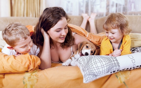 Правила чистоты для владельцев флоры и фауны