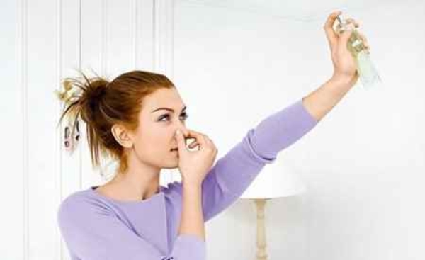 Комары в квартире: 9 запахов, которые прогонят насекомых