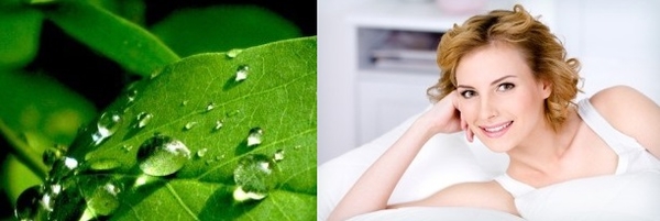 Чем опасен сухой воздух в квартире и как этого избежать