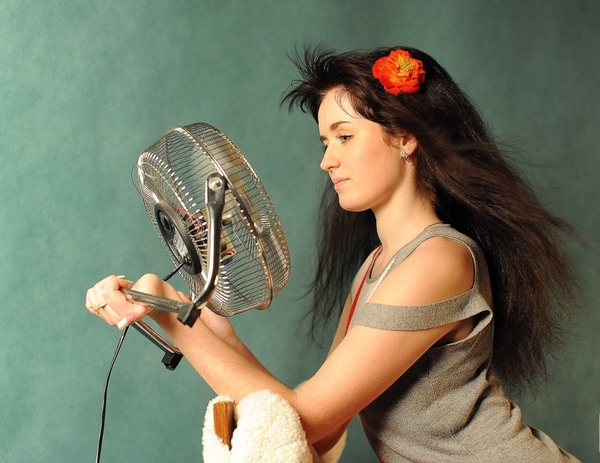 Спасаемся от жары: Выбираем вентилятор (ВИДЕО)