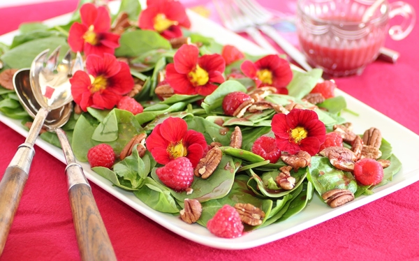 Съедобные цветы: 10 самых вкусных видов