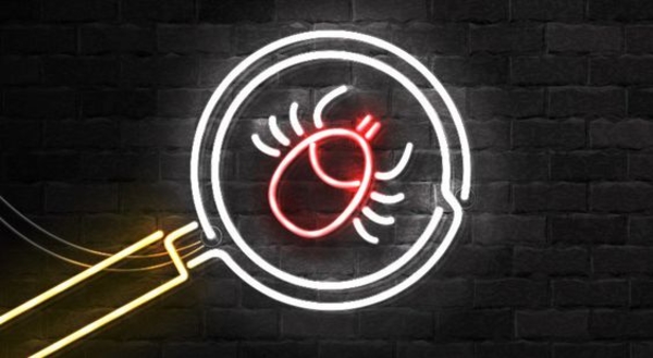 Что делать, если укусил клещ? Полезные советы врача