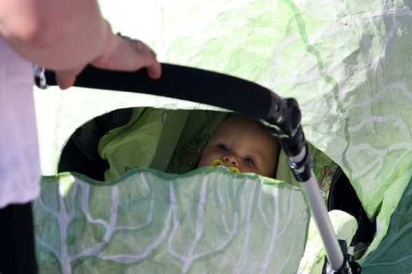 curiousphotos.blogspot.com