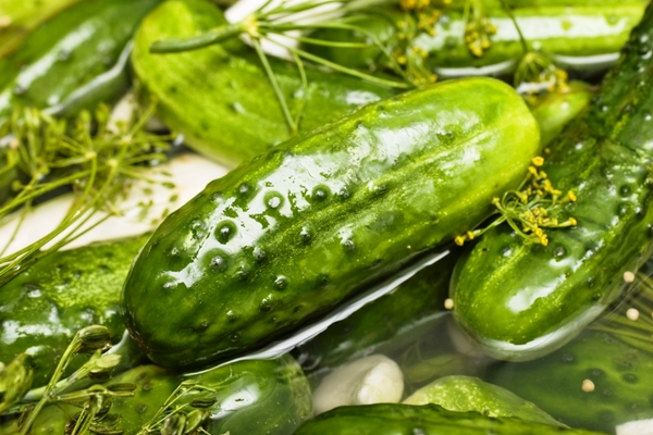 Малосольные огурцы: Три вкусные идеи