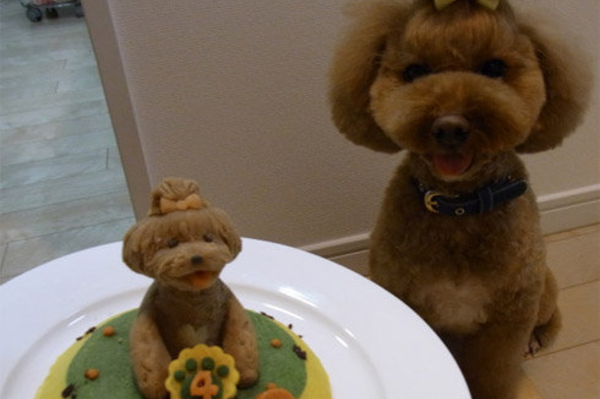 weruletheinternet.com