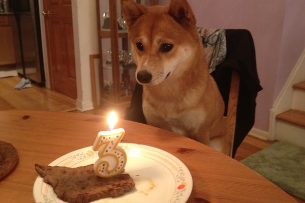 weruletheinternet.com