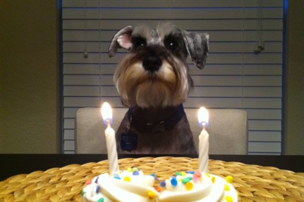 weruletheinternet.com