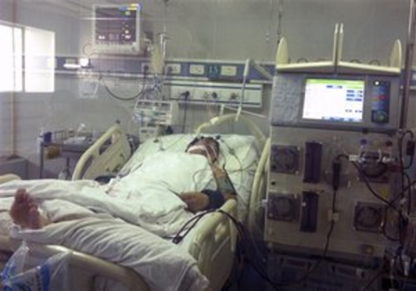 Вирус птичьего гриппа H7N9 легко заражает птиц и людей