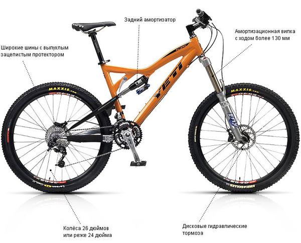 Как выбрать велосипед: Типы, виды, особенности и отличия моделей