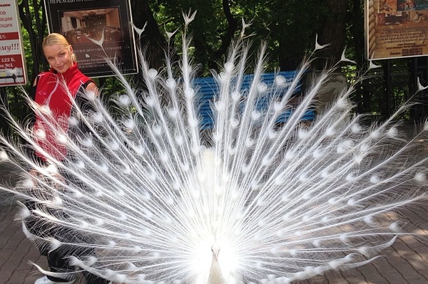 Instagram Анастасии Волочковой