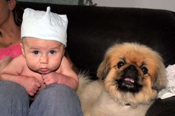 peacefulharmony.co.uk