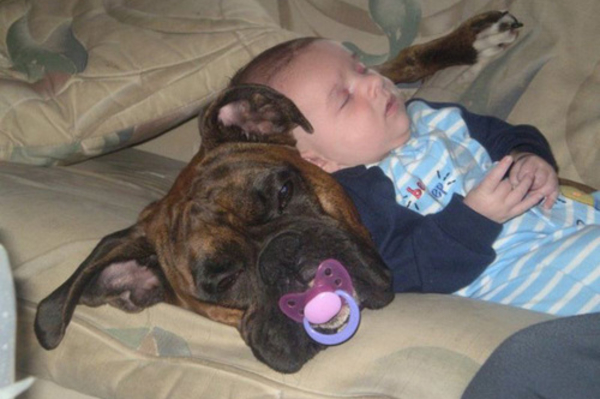 matrixworldhr.wordpress.com