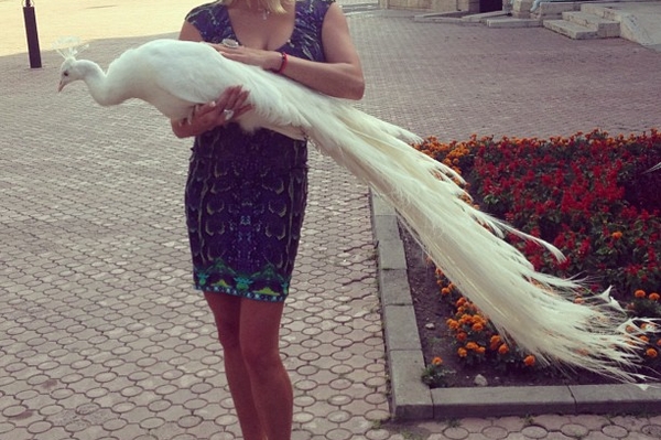 Instagram Анастасии Волочковой