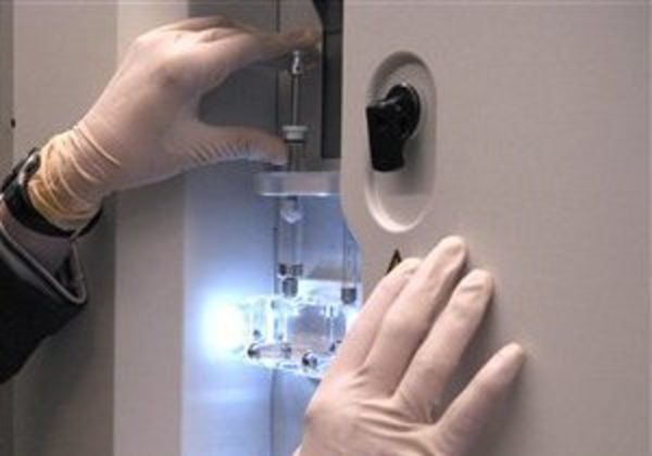 Биологам удалось вырастить из стволовых клеток сердце