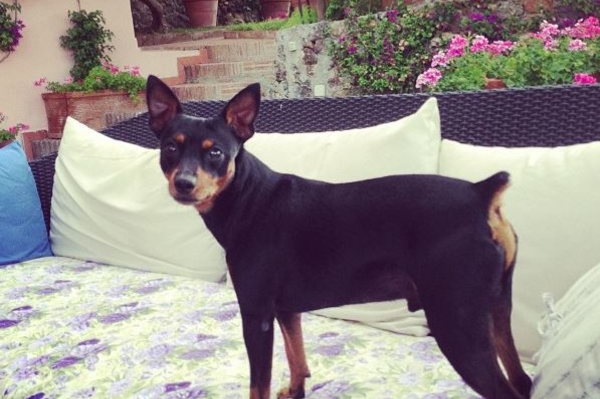 instagram.com/nikolaibaskov