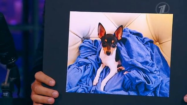 Сырой фарш и соленые огурцы: Кристина Асмус и Харламов в гостях у Урганта