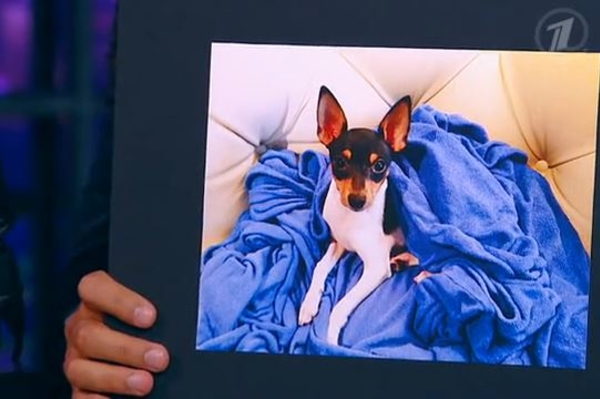 скриншот видео программы Вечерний Ургант