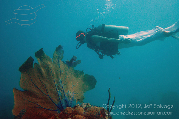 onedressonewoman.com