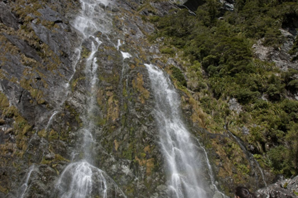 onedressonewoman.com