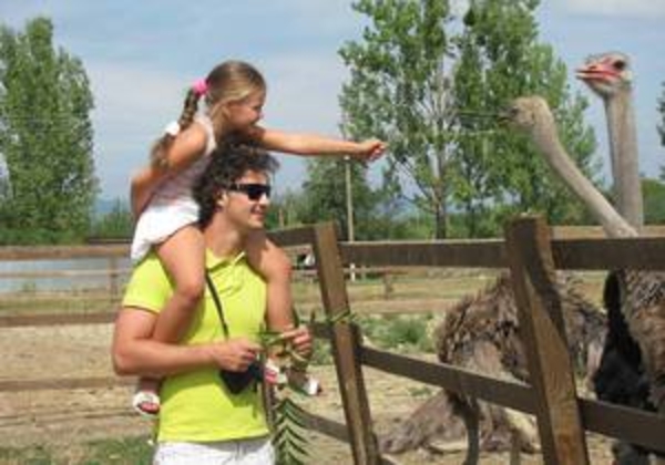 В Украине учредили еще один праздник - День отца