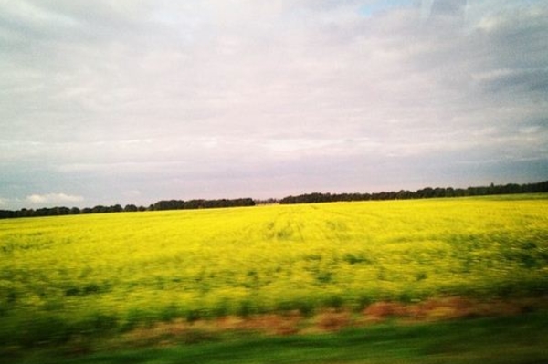 instagram.com/achekhova