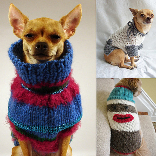 Пушистые модели: Фото домашних любимцев в уютных свитерах